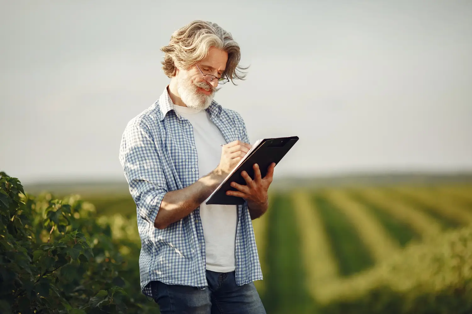 investidores do agronegócio comprando imóveis para diversificação patrimonial